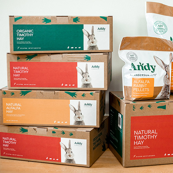 Andy Packaging Case Study: Tapping Into a New Market with E-Commerce Packaging | SupplyOne