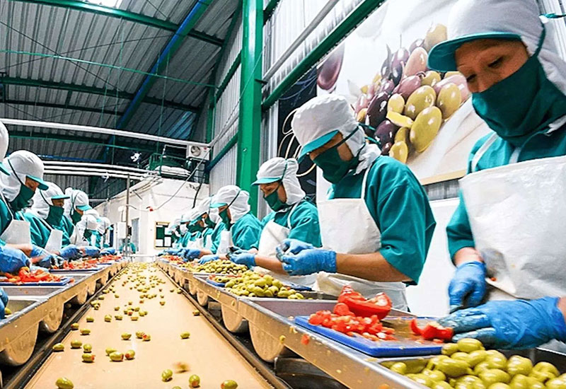 supplyone-landing-page-food-processing supplyone food processing