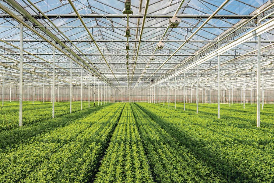 supplyone case study nursery agriculture