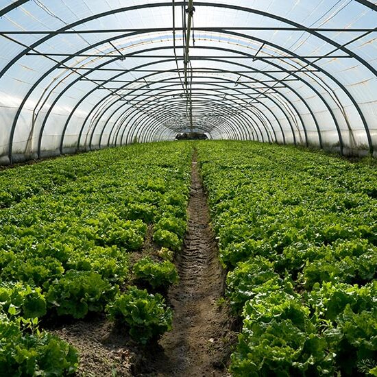 supplyone nursery and agriculture packaging