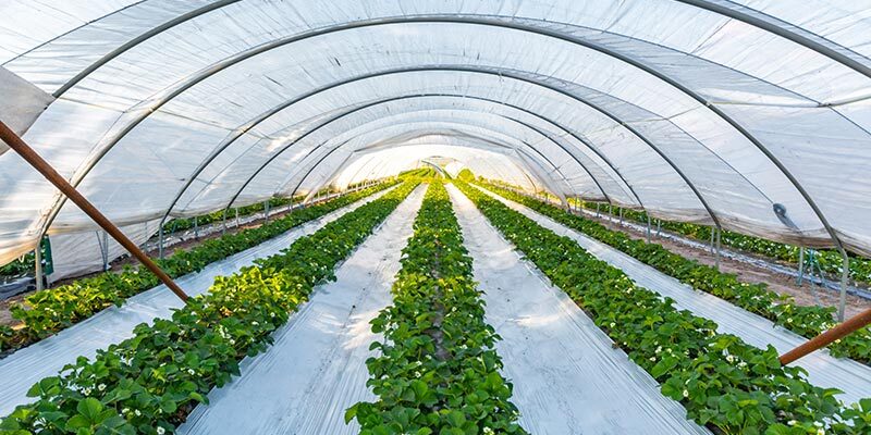 supplyone nursery and agriculture packaging shrink film